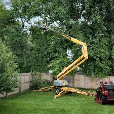 Best Tree Preservation Services  in Shell Rock, IA