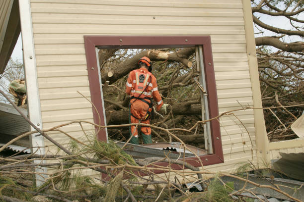 Best Commercial Tree Services  in Shell Rock, IA
